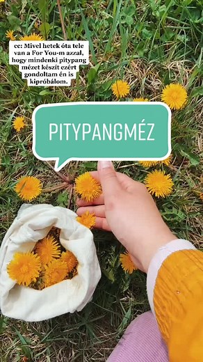 Pitypang Méz készítés | Vegán recept