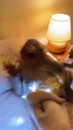 Understanding the Dangers of Electricity with Humor