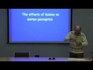 12. Motion perception and pursuit eye movements