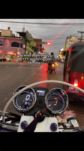 Emotional Journey with Neton Vega's Song