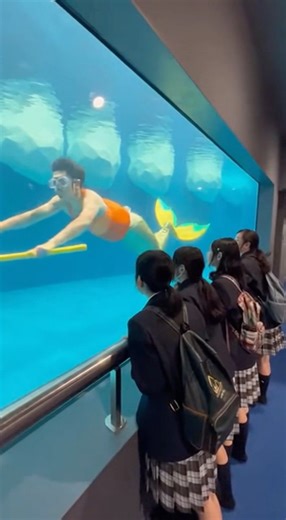 マーメイドのいる水族館 #mermaid #merman #aquarium #cosplay