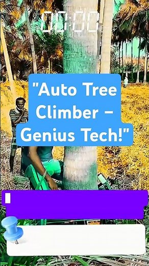 Automatic Coconut Tree Climber – Safe & Fast Palm Tree Access
