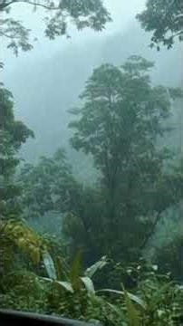 Sleep in 30 Seconds…👉 “Don’t blink… just listen.”