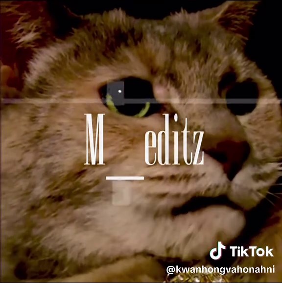 SML Precious Tribute Edit