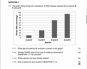 QUESTION 11.1 The graph below shows the comparison of DNA bet... | Filo