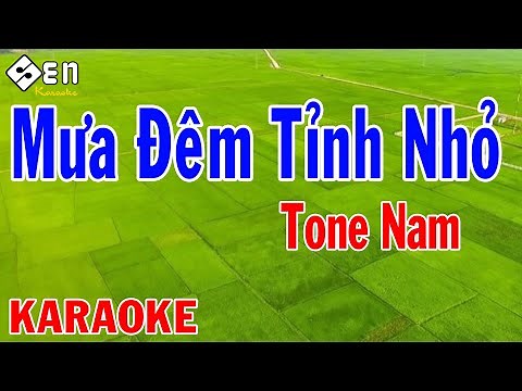 Karaoke Mưa Đêm Tỉnh Nhỏ Tone Nam Nhạc Sống | Beat Chuẩn Được Hát Nhiều Nhất