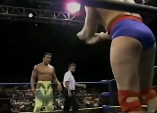 Steven Regal & Ricky Steamboat in 1993 putting on an absolute masterclass—not just in wrestling, but in facial expressions and body language. Every move told a story, every glance added tension. 🎭 A true showcase of technical skill and storytelling that still inspires wrestlers today. #WCW #ClassicWWE #StevenRegal #RickySteamboat #WrestlingArt #ProWrestlingLegends | The Chronicles Of Wrestling