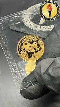 Chinese Panda Gold Coins Up Close (1/2 oz vs 3g)