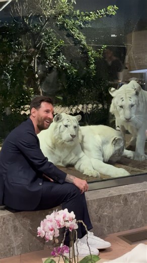 Pinkvilla on Instagram: "Up close at Vantara. Messi enjoys time with the animals and admires the world-class care they receive."