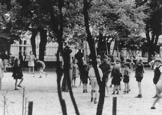 Deceiving the Public | Holocaust Encyclopedia