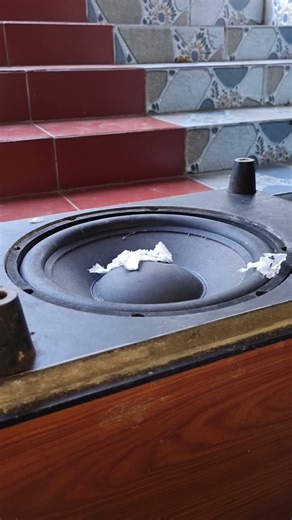 Bose 12-inch Sub A Closer Look at its Bone-Rattling Bass (25m² Sound Demo) #nghia #dj #basstest