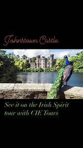 2.9K views · 35 reactions | CIE Tours on Reels | Facebook