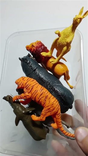 Satisfying ASMR Tapping on Wild Animals 🐅 | No Talking Relaxation