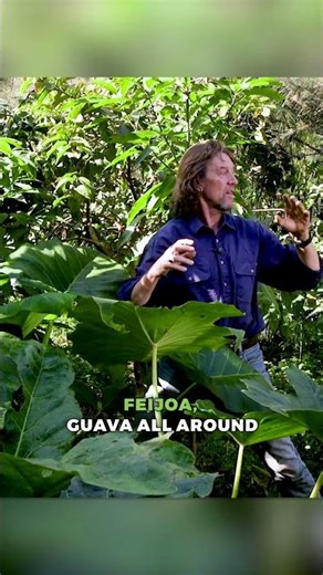 Exploring the Edible Paradise of a Food Forest 🌳🍌🥭 #permaculture #foodforest #forestgarden