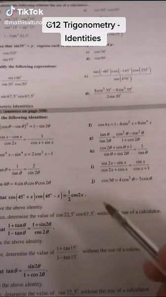 Levert Fillies on TikTok