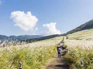 神奈川のサイクリングスポットおすすめ20選！ 定番から穴場までご紹介 - まっぷるウェブ