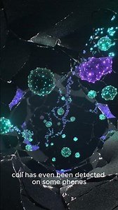 How Many Germs Are Hiding On Your Phone?