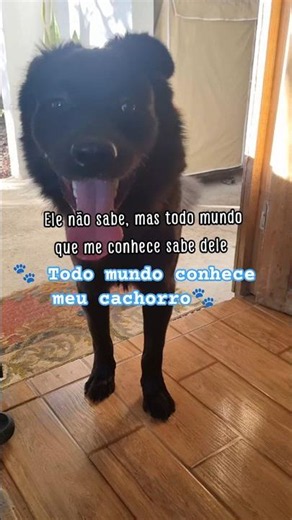 Parte 6 | Ele não sabe, mas todo mundo me ouve falar dele 🐶💜