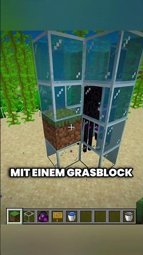 ENDERMAN TORTURE?!