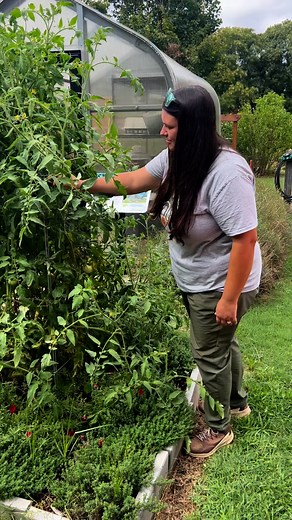 You heard it here! There's still time to enter our Plant-A-Row contest for a chance to win a garden tiller! 🌱 Just fill out our form by October 1st to be entered. 🌾 Log your donations here:�https://extension.okstate.edu/programs/oklahoma-gardening/plant-a-row-campaign.html | Oklahoma Gardening