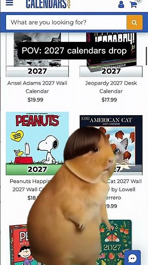 POV: 2027 Calendars Dropped and They’re 24% Off for 24 Hours 🐹⏰