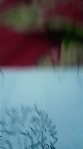 one piece character drawing