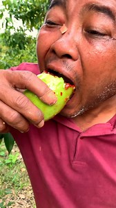 a man eating mango with very spicy sauce in mango tree 😋 | Felton White