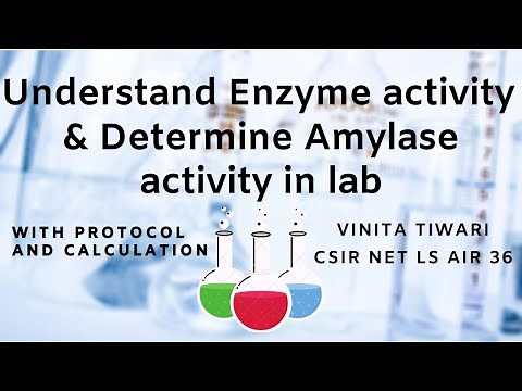 Enzyme activity | Alpha amylase activity determination in lab