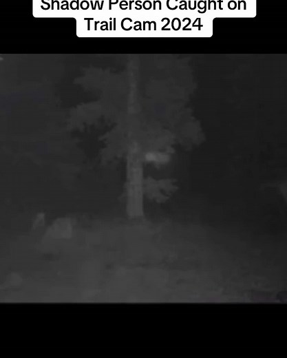 Anybody know what this could be? Cryptid creature, demonic entity, or cloaking device? 🤔 #foryou #fyp #scary #scarystories #scarytiktoks #trailcam #cryptid #creature #bigfoot #skinwalker