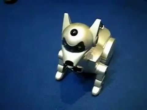 Samsung Robot Dog