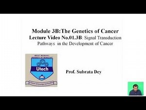 Signal transduction pathways in the development of cancer