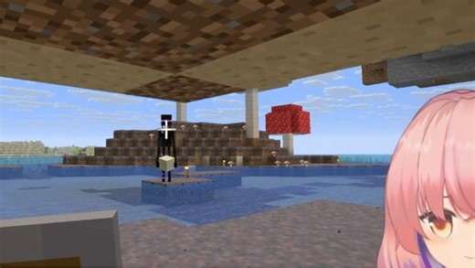 bro被末影人囚禁了一万年☠️