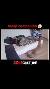 Prank taken too far 😱 #scary #snakes #Creepy #OMG #watch #reelsviralfb #trendingvideo | GoreCulture