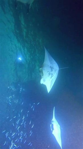 ServeAndUnhinge (@payton_teeter)’s videos with original sound - ServeAndUnhinge