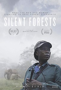 Silent Forests (2018) | ČSFD.cz