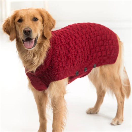Knitted Dog Sweater Pattern Basketweave Coat Tutorial S, M, L, XL Dog Vest Digital PDF Download - Etsy