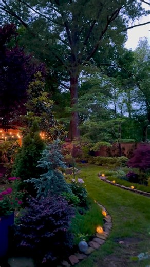 Series: The Garden at Night # 5 The back garden in May. Conifers, peonies, and Japanese maples are a great combination. #springgarden #springflowers #peony #conifer #acer #maple #nature #eveningwalk #nightwalk #mygarden #gardening #gardener #inmygarden #gardenlove #gardenlife #inthegarden #gardenlovers #gardendesign #owls #backyard | Thepsychgarden
