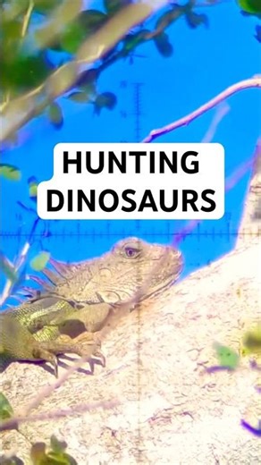 Iguana Hunting Mayhem 🤯