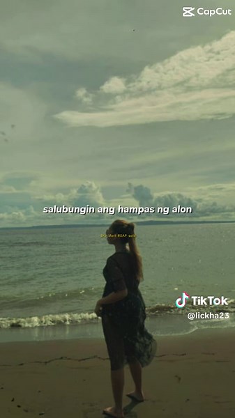 Fun Highlights Compilation of Hilarious Moments