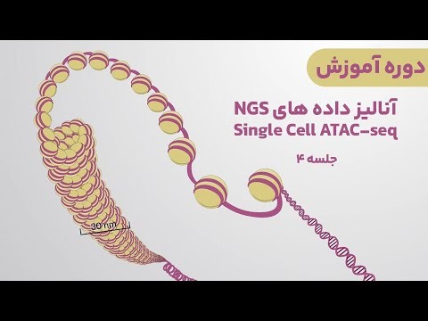 دوره آموزش آنالیز داده های NGS Single Cell ATAC seq: جلسه چهارم