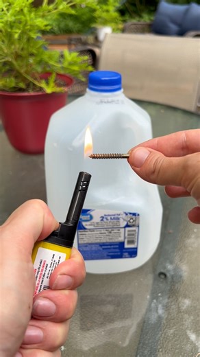 Try this garden hack! If you're going away for the weekend, this hack will help water all of your plants and gardens! #hack #garden #diy #gardening | Lauren H