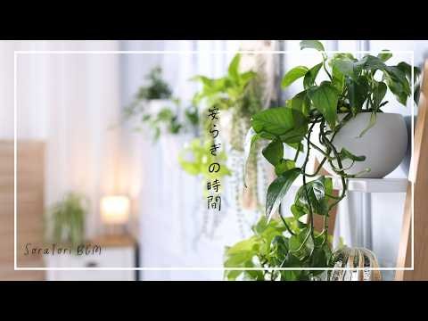 【癒しBGM】安らぎの時間に聴く、やさしいピアノ【途中広告なし】