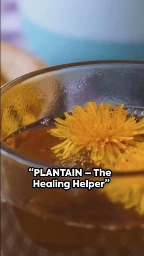 5 Herbs That Heal Your Soil AND Your Body