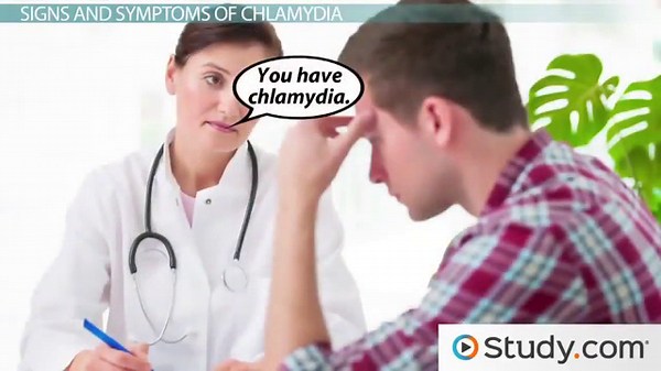 What Is Chlamydia Trachomatis? - Symptoms, Signs & Treatment
