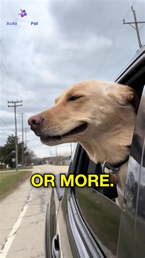 Safe driving pays off! If your record’s been clean for a few years, some insurance providers may offer lower rates or added benefits. Check what’s available in your area. Get your quote in minutes. | GoQuote.Org