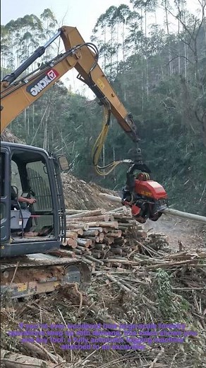 Fully Automatic Logging Machine in Action! Efficient Forestry Equipment