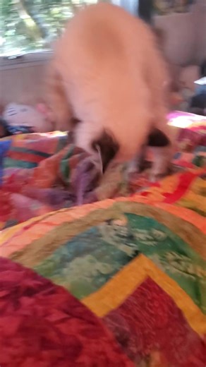 Molly Robinson on Reels