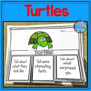 Turtles Writing Kindergarten First Second Grade ESL