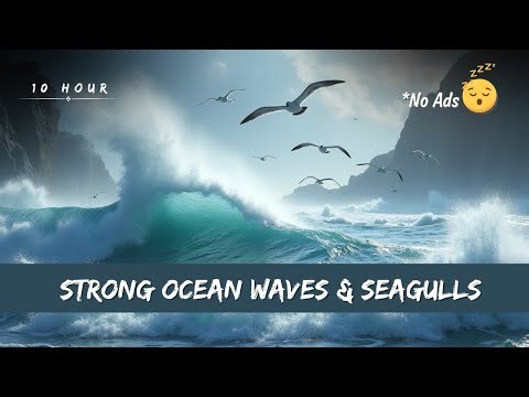 Strong Ocean Waves & Seagulls, 10 Hour Sleep Sounds, No Ads!