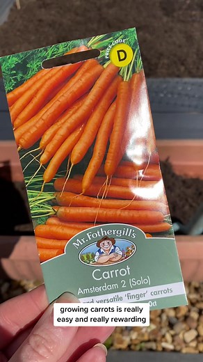 Really rooting for these guys 🥕 Note: these should germinate and grow in this container fine outside now 🌱 #carrot🌱 #carrots #sewingseeds #growingveg